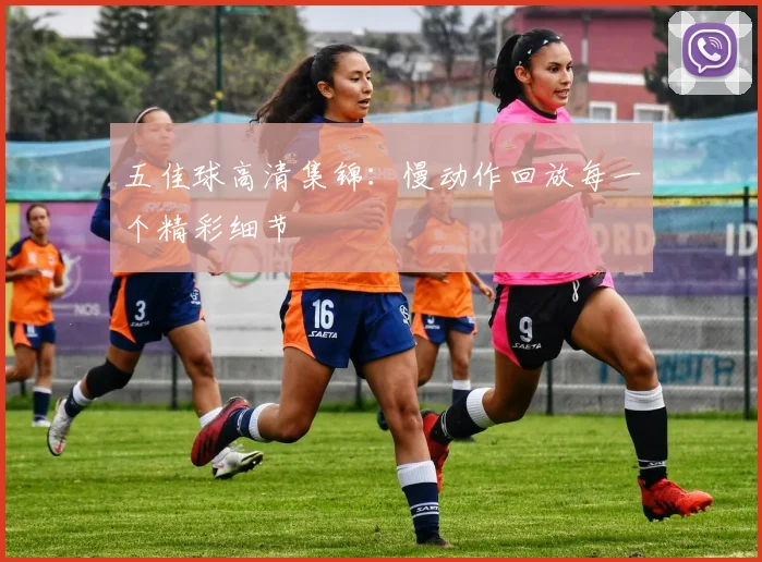 五佳球高清集锦:慢动作回放每一个精彩细节