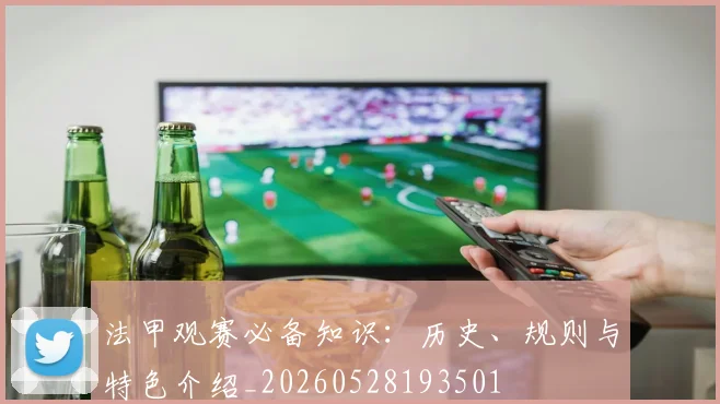 法甲观赛必备知识：历史、规则与特色介绍_20260528193501